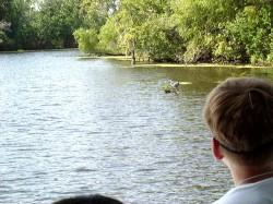 Thumbs/tn_8-2-02 Cypress Swamp Tour 24.jpg